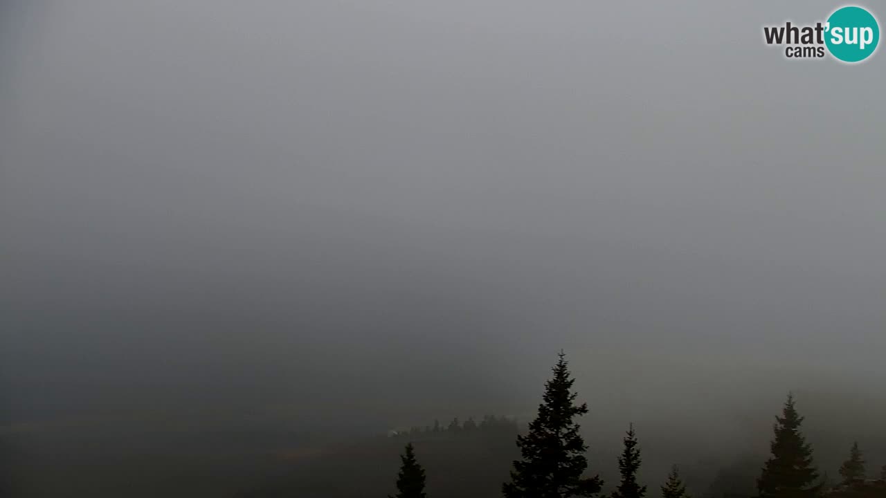 Koča na Golici Webcam (1582 m) – Slowenien