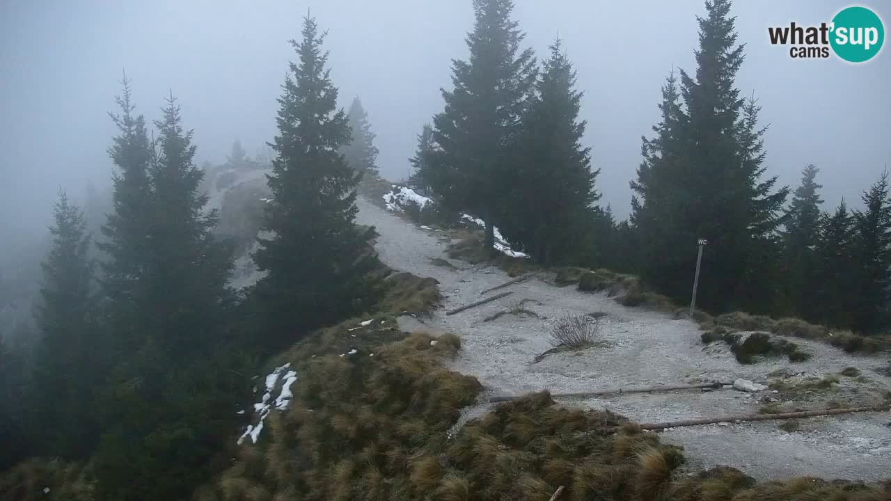 Webcam Chalet sur Golica (1582 m) – Slovénie