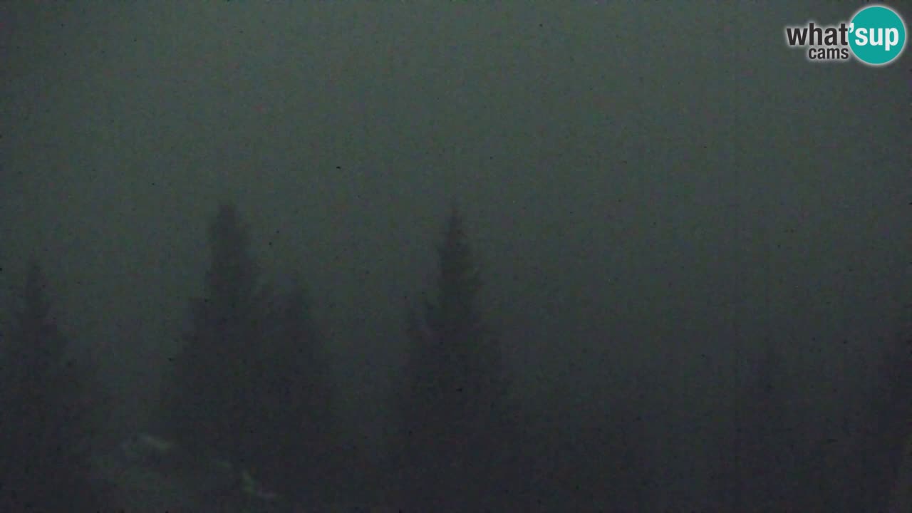 Koča na Golici Webcam (1582 m) – Slowenien