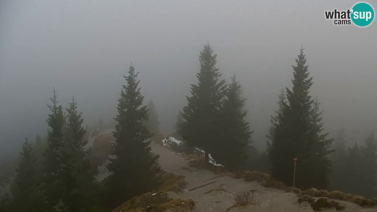 Webcam Chalet sur Golica (1582 m) – Slovénie