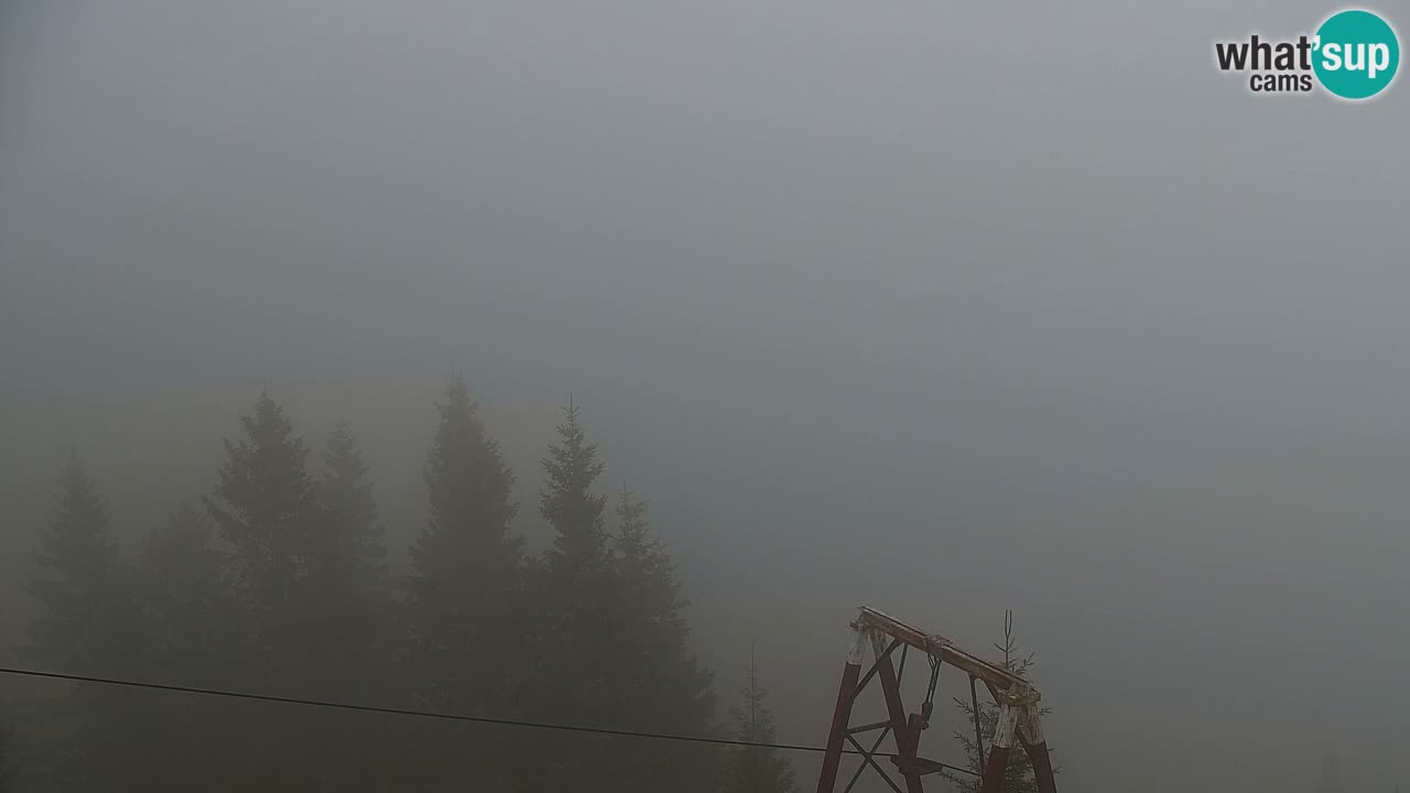 Web kamera Koča na Golici (1582 m) – Slovenija