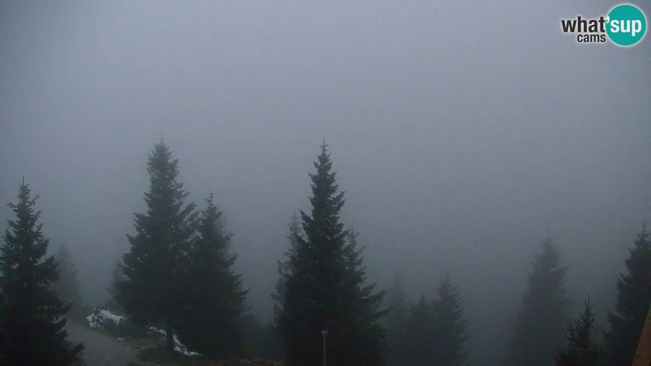 Web kamera Koča na Golici (1582 m) – Slovenija