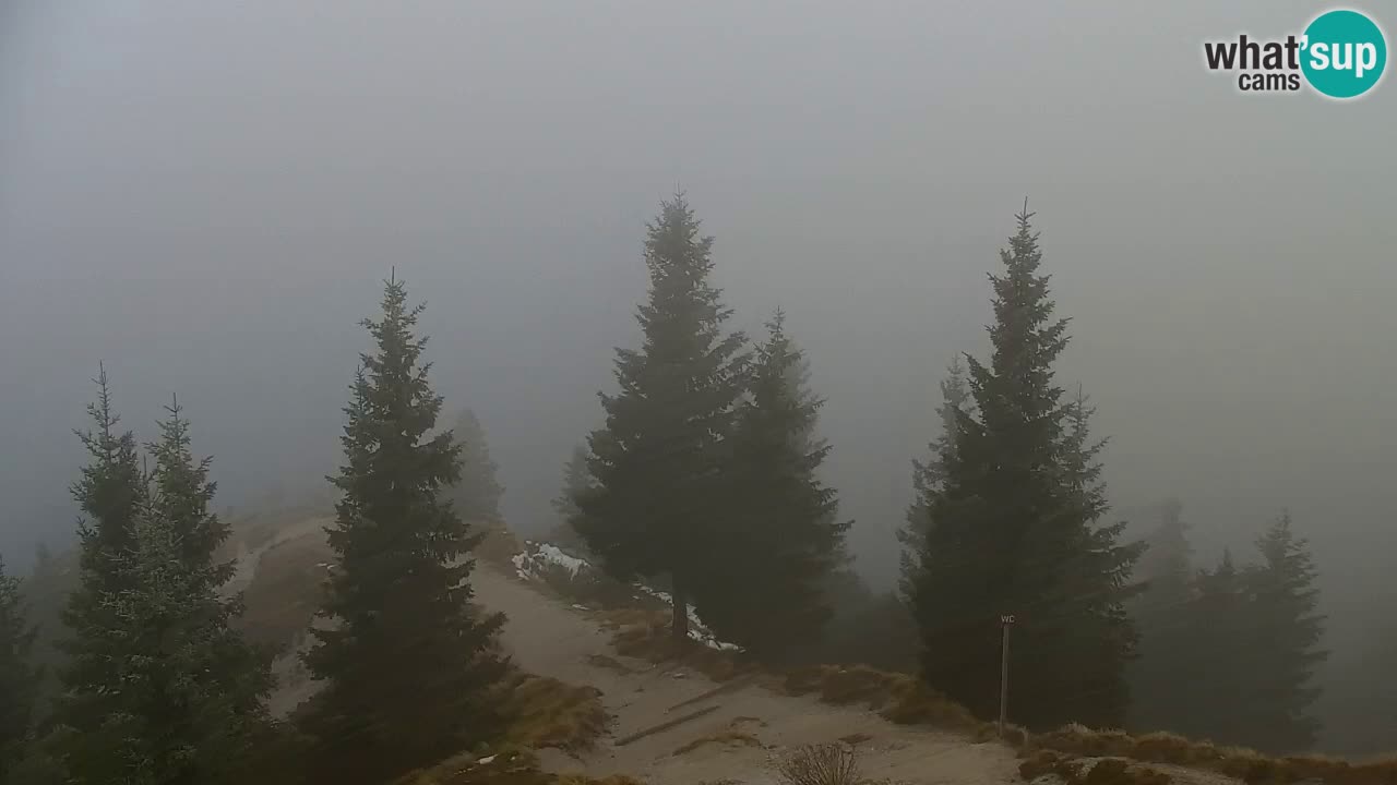 Koča na Golici Webcam (1582 m) – Slowenien