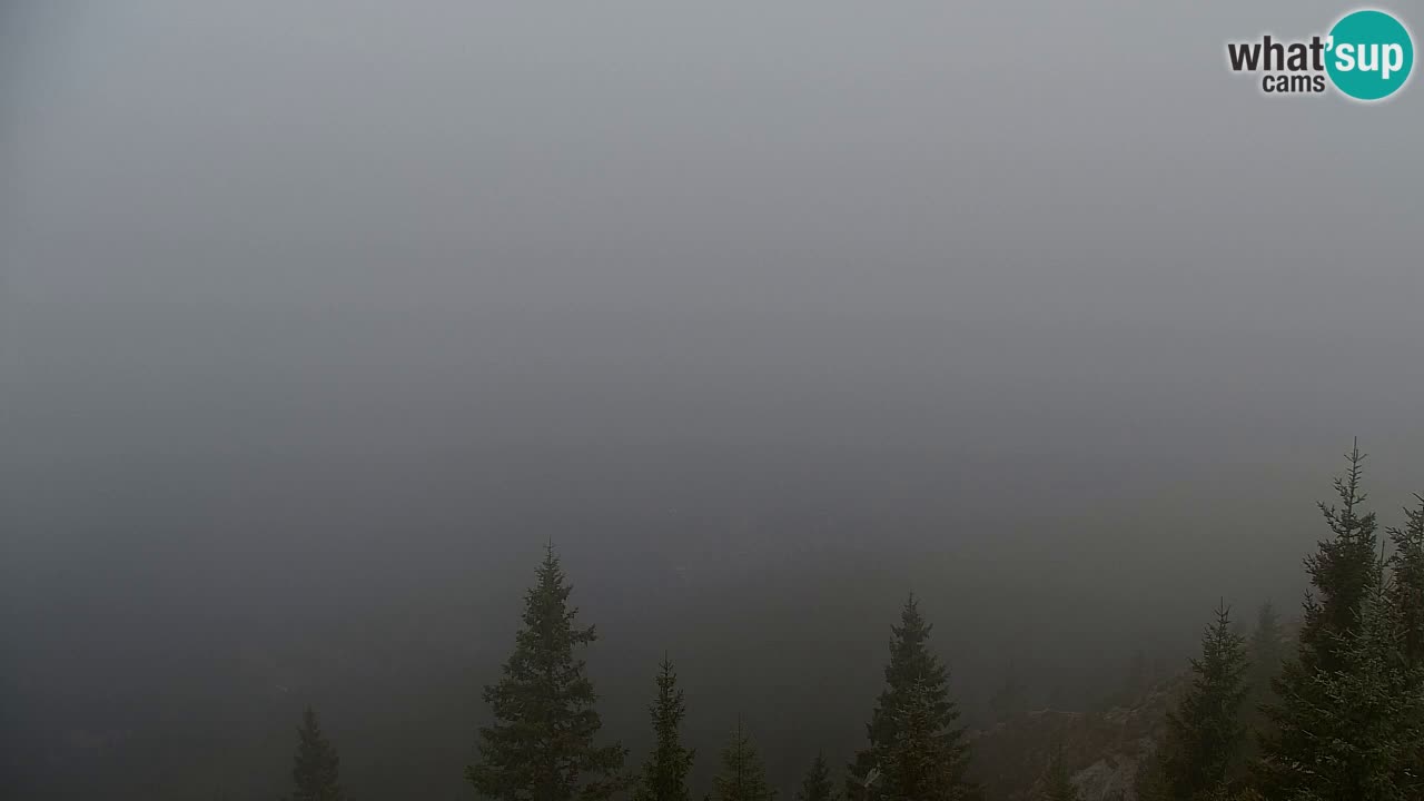 Web kamera Koča na Golici (1582 m) – Slovenija