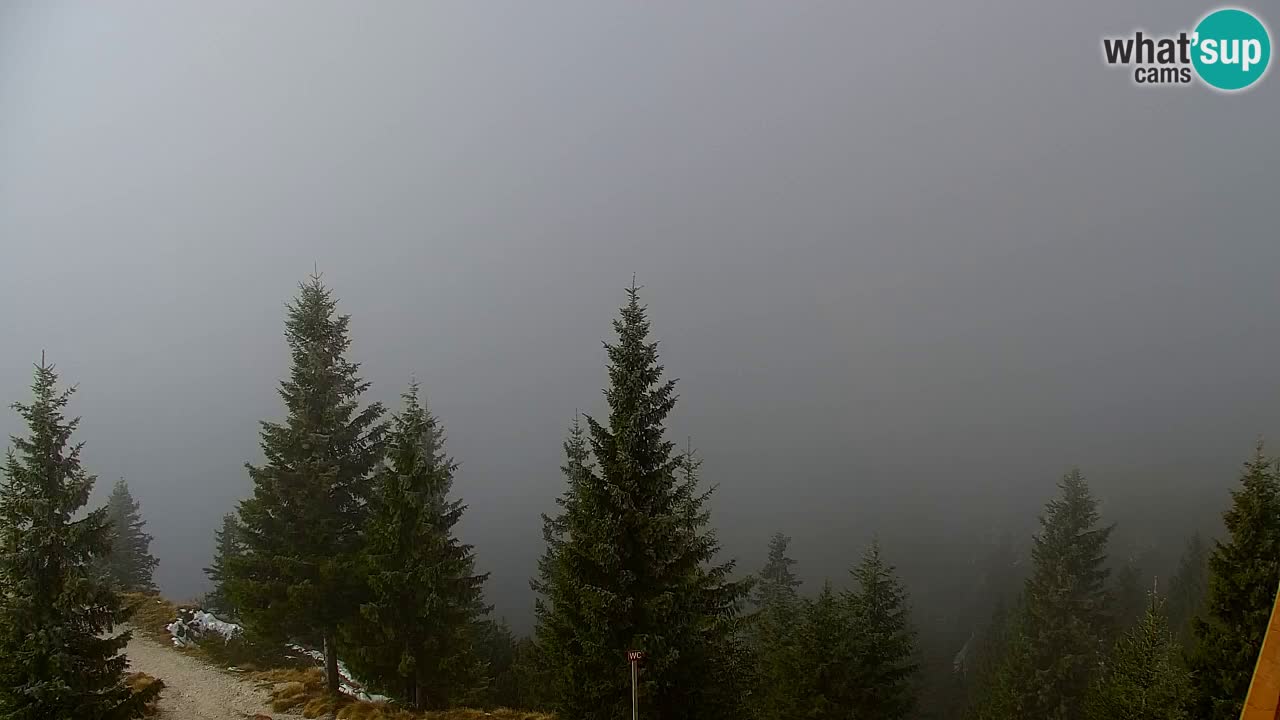 Webcam na Golici – Baita di montagna (1582 m) – Slovenia