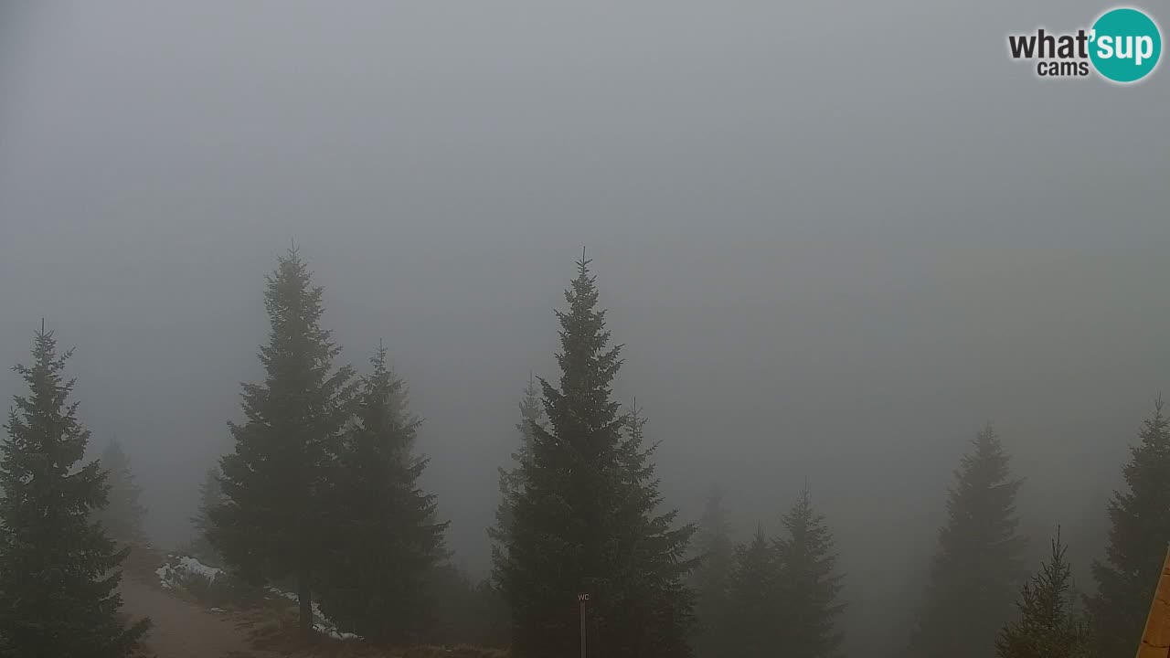 Web kamera Koča na Golici (1582 m) – Slovenija