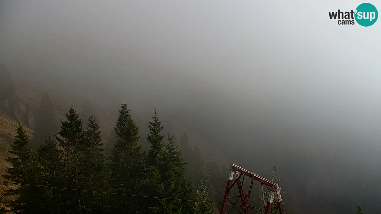 Web kamera Koča na Golici (1582 m) – Slovenija