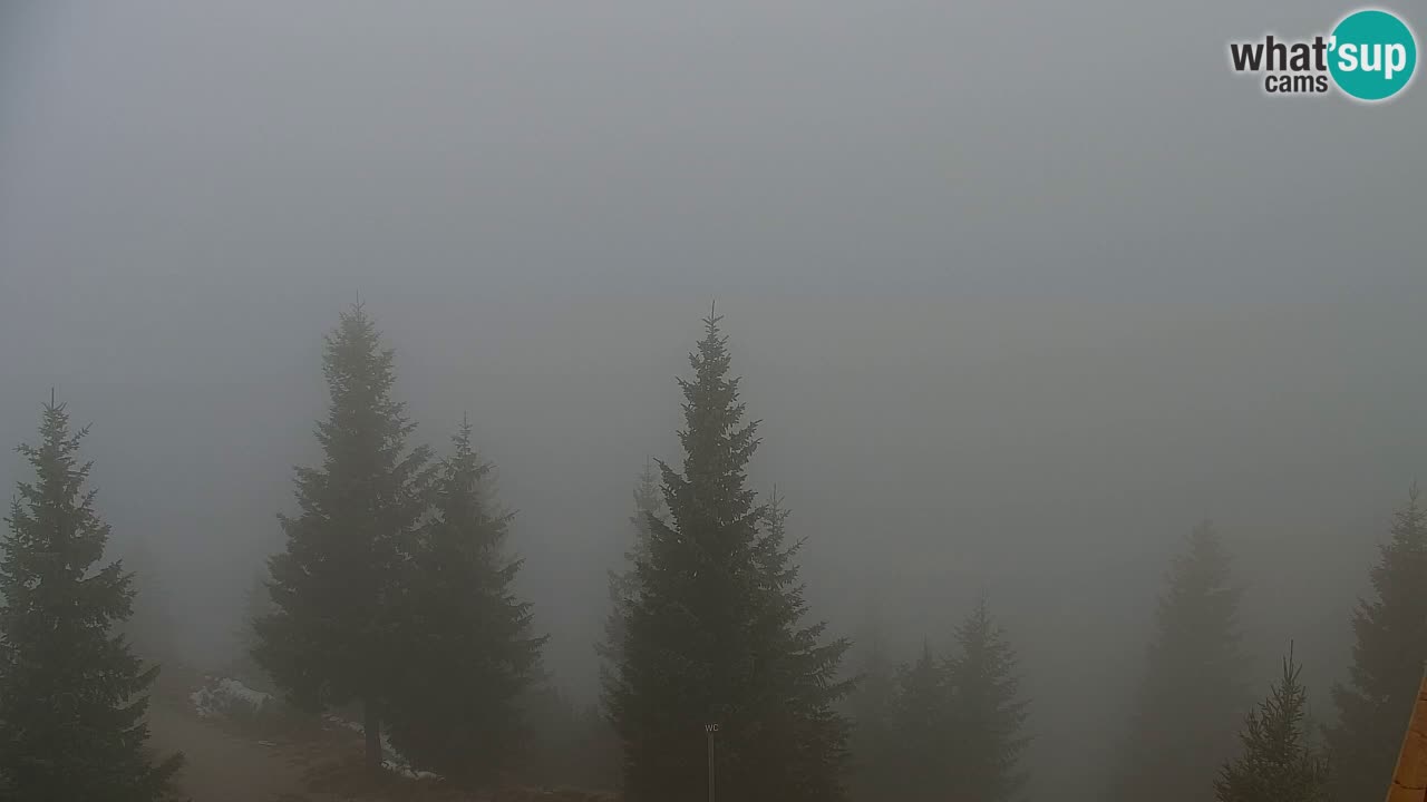 Web kamera Koča na Golici (1582 m) – Slovenija