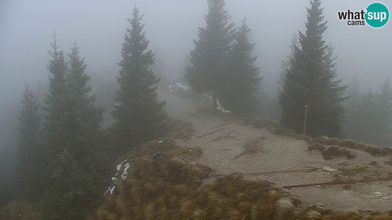 Webcam en Golica (1582 m) – Eslovenia