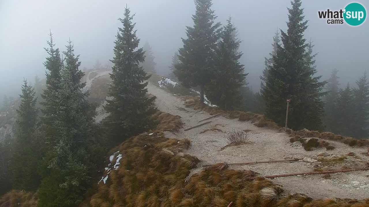 Web kamera Koča na Golici (1582 m) – Slovenija