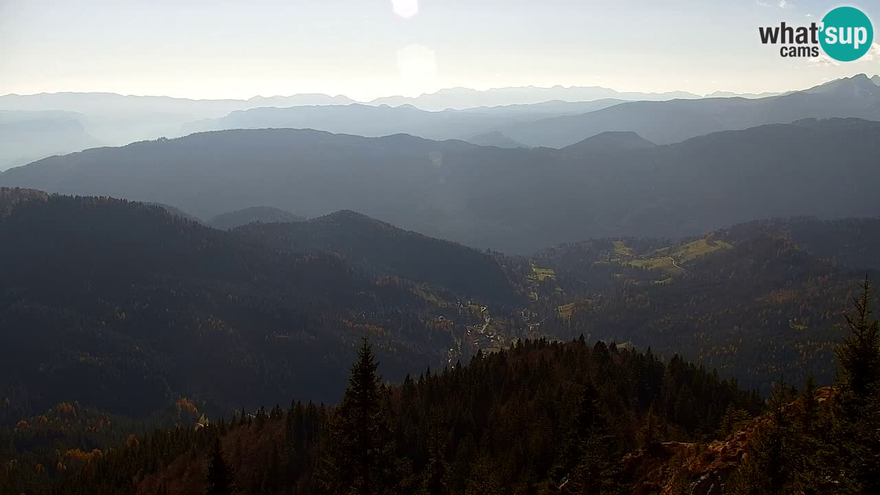 Web kamera Koča na Golici (1582 m) – Slovenija