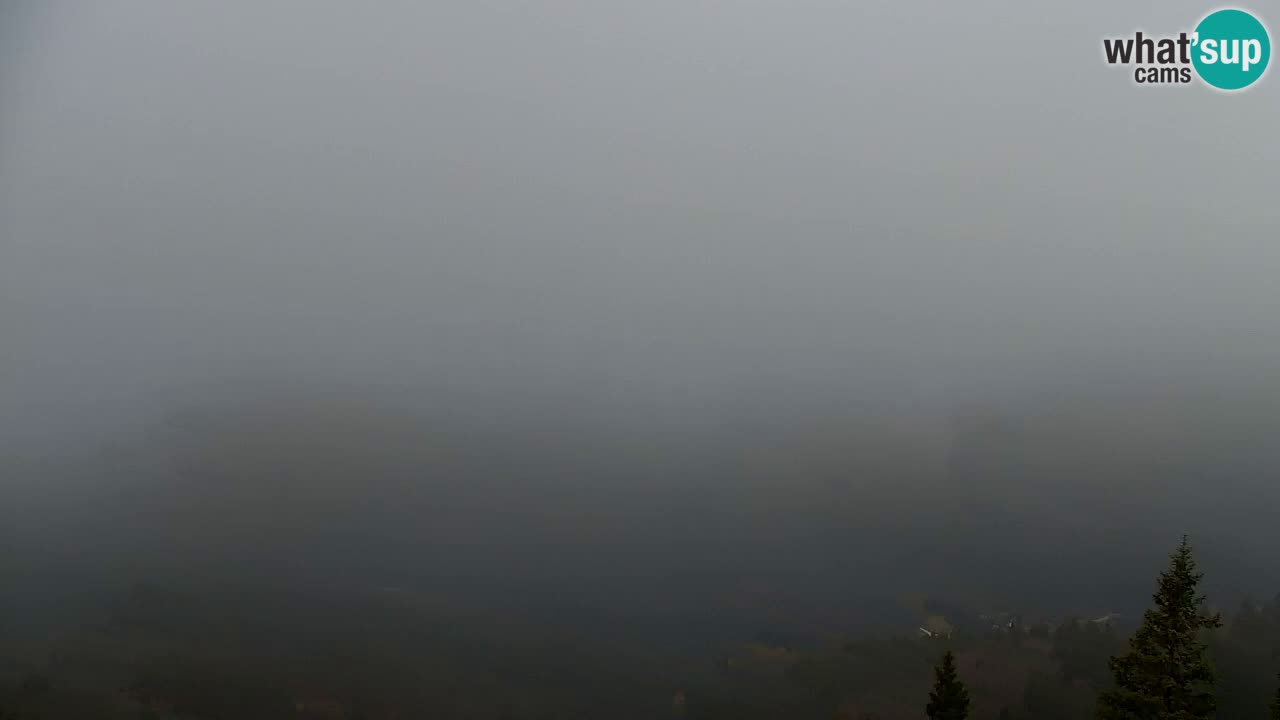 Webcam Koča na Golici (1582 m) – Slovenia