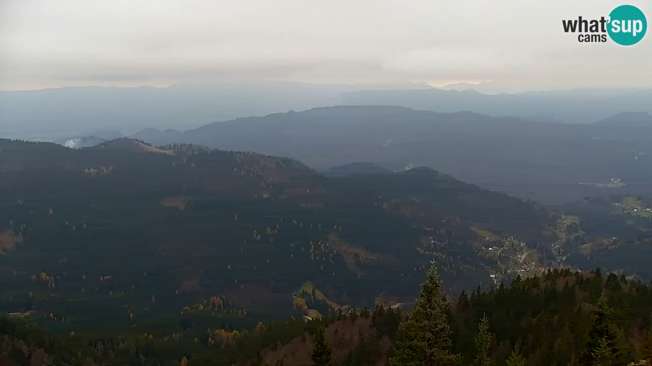 Web kamera Koča na Golici (1582 m) – Slovenija