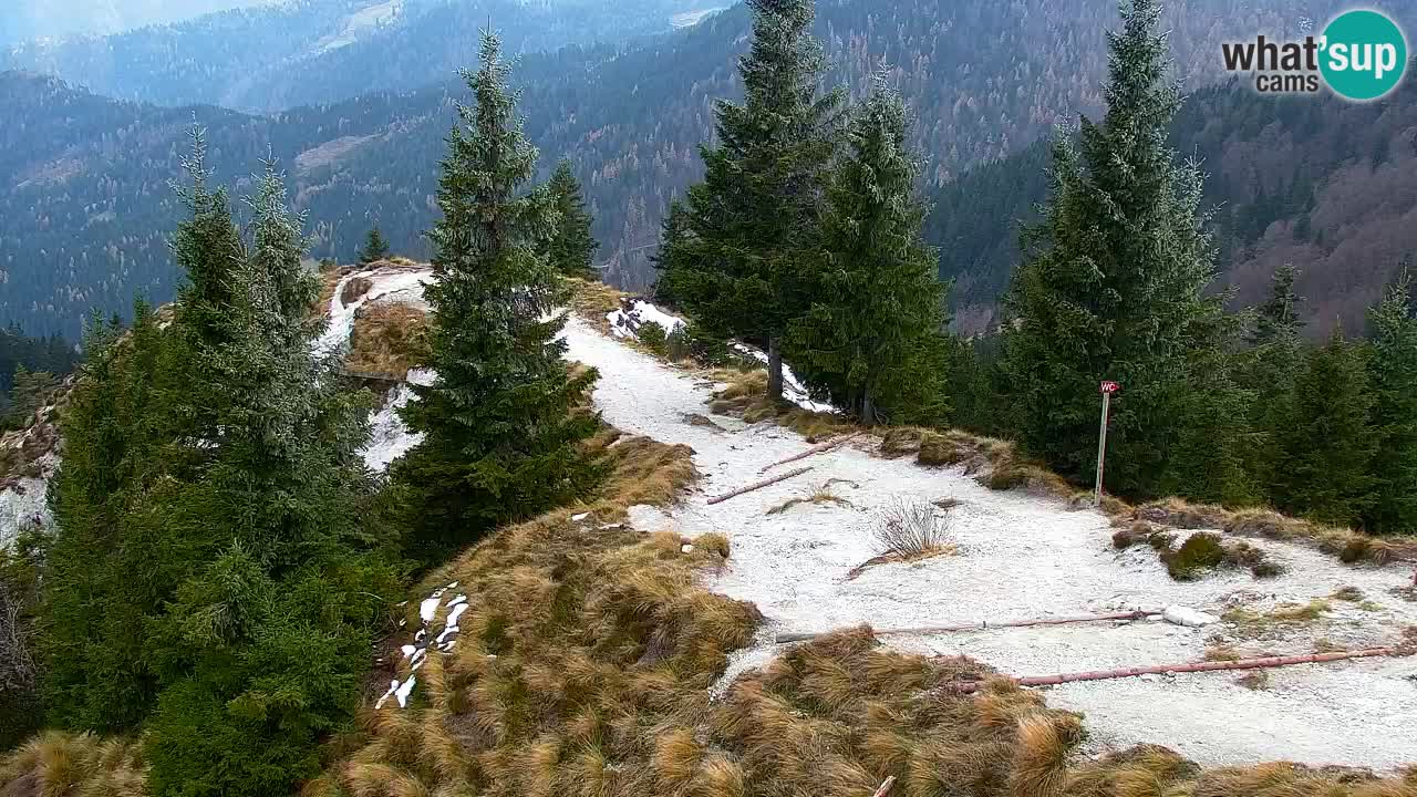 Webcam na Golici – Baita di montagna (1582 m) – Slovenia