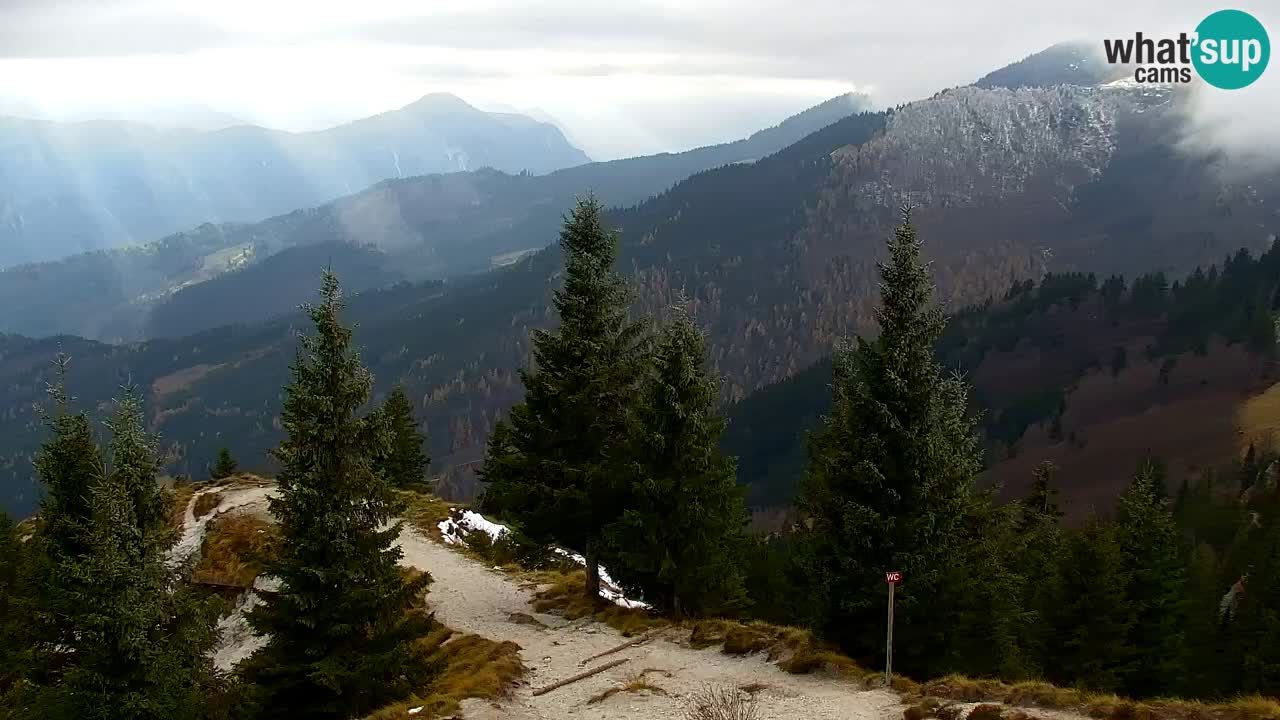 Webcam Koča na Golici (1582 m) – Slovenia