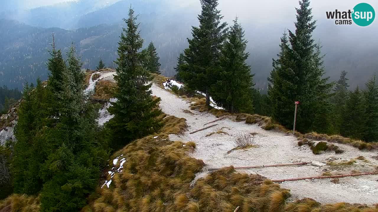 Web kamera Koča na Golici (1582 m) – Slovenija