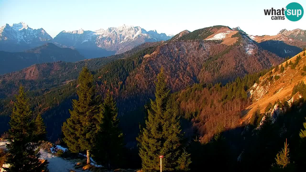 Webcam Koča na Golici (1582 m) – Slovenia