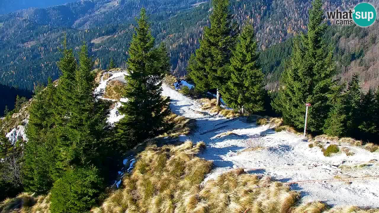 Spletna kamera Koča na Golici (1582 m) – Jesenice