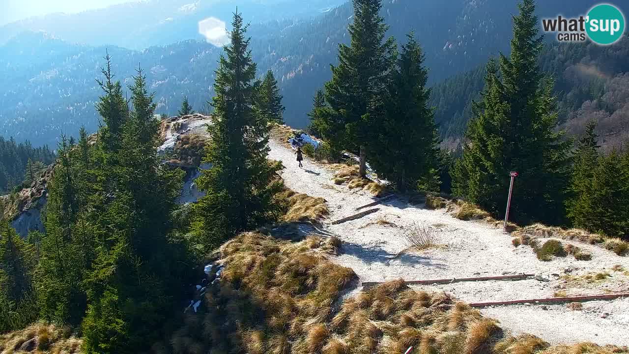 Webcam Chalet sur Golica (1582 m) – Slovénie
