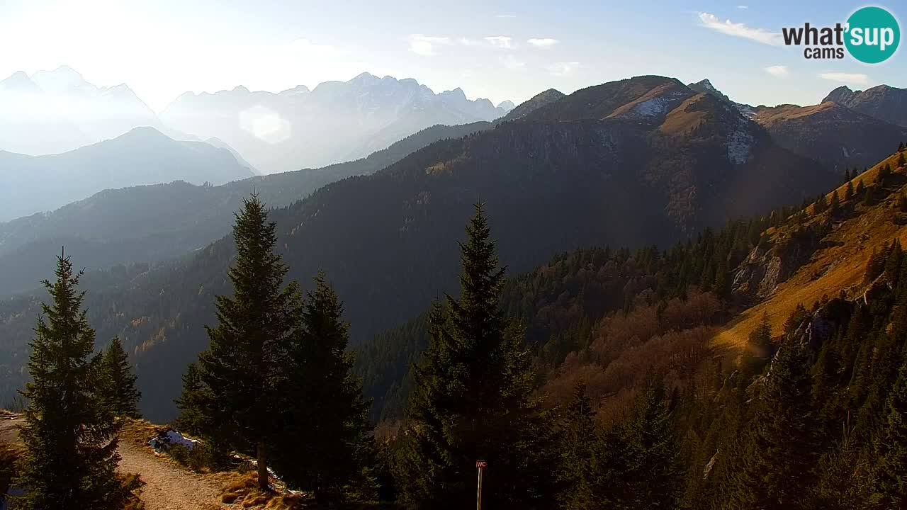Webcam Koča na Golici (1582 m) – Slovenia