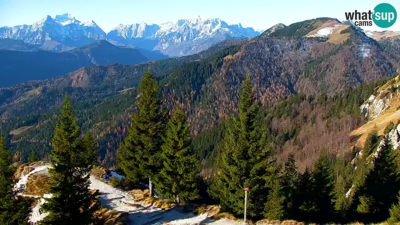 Webcam na Golici – Baita di montagna (1582 m) – Slovenia