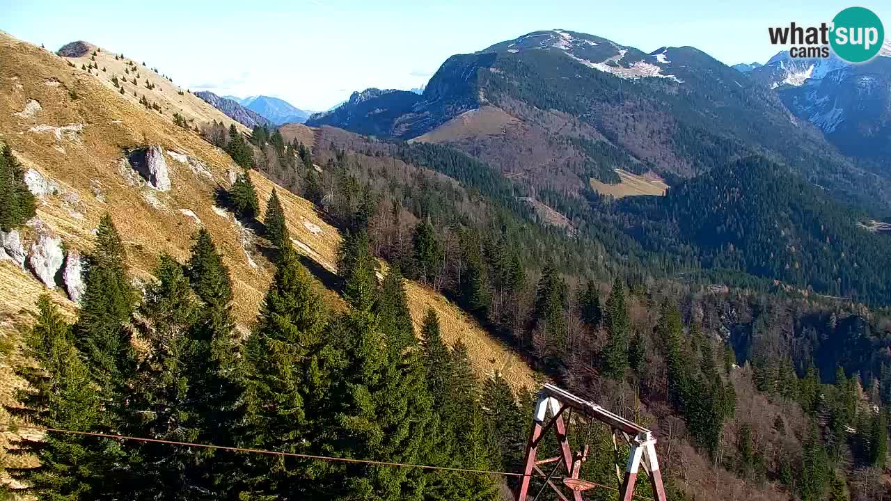 Webcam Koča na Golici (1582 m) – Slovenia