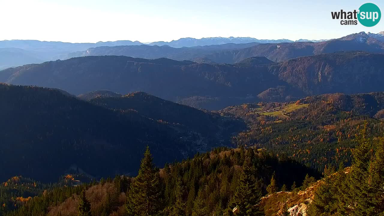 Web kamera Koča na Golici (1582 m) – Slovenija