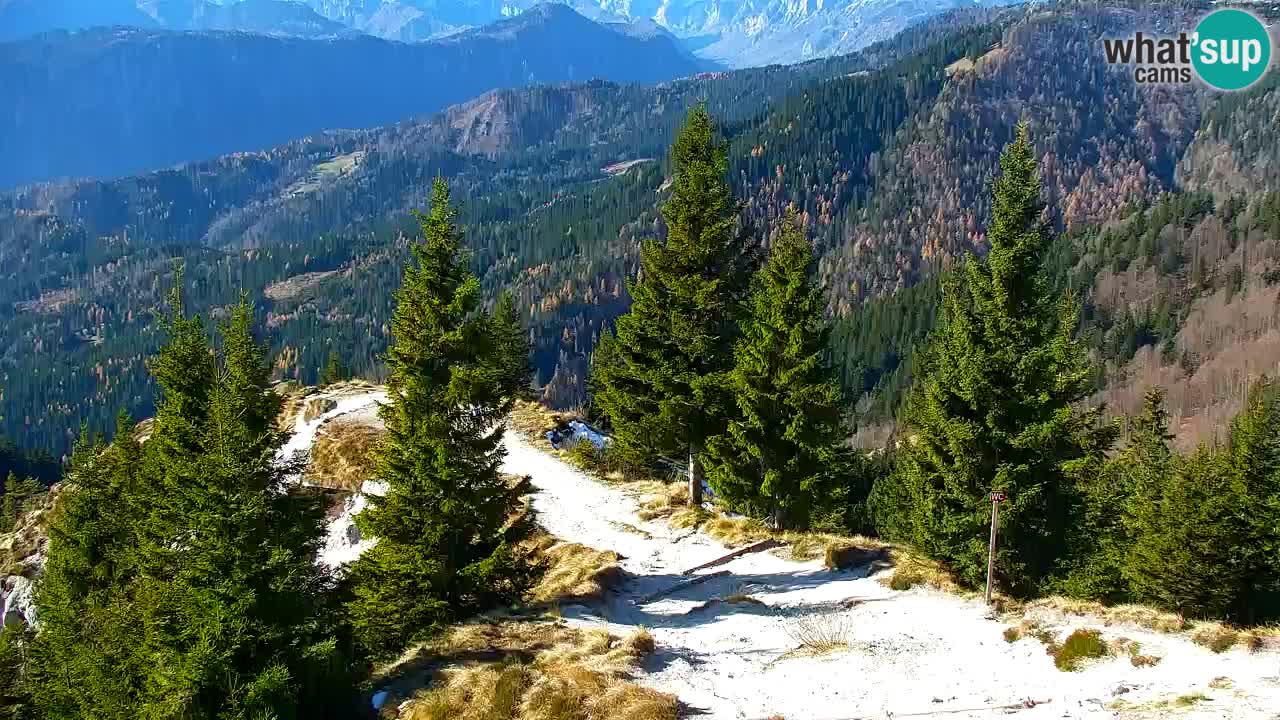 Web kamera Koča na Golici (1582 m) – Slovenija