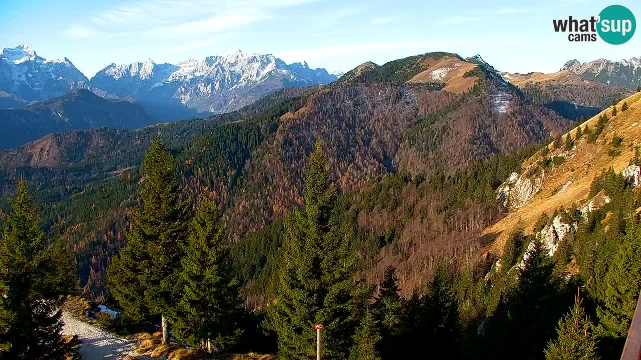Webcam Koča na Golici (1582 m) – Slovenia