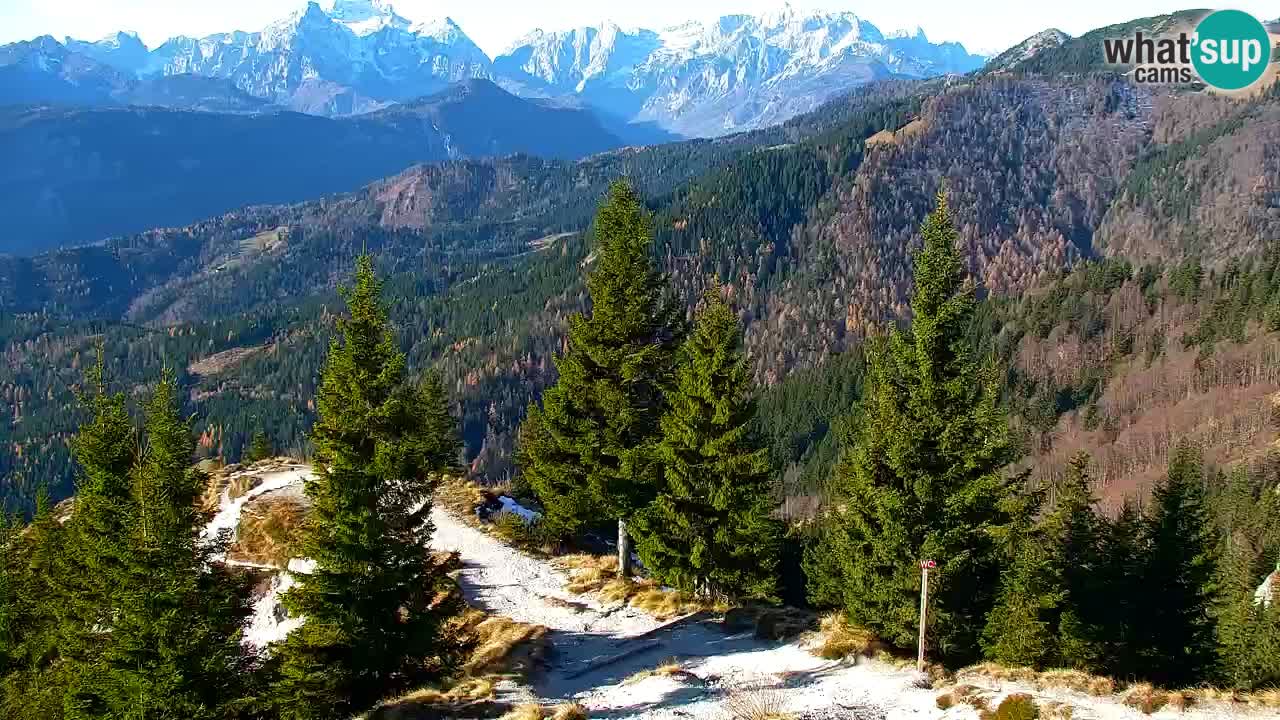Web kamera Koča na Golici (1582 m) – Slovenija