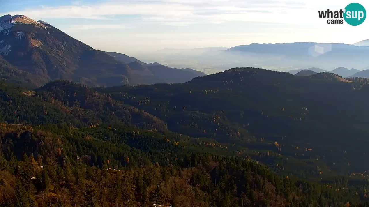 Webcam Koča na Golici (1582 m) – Slovenia