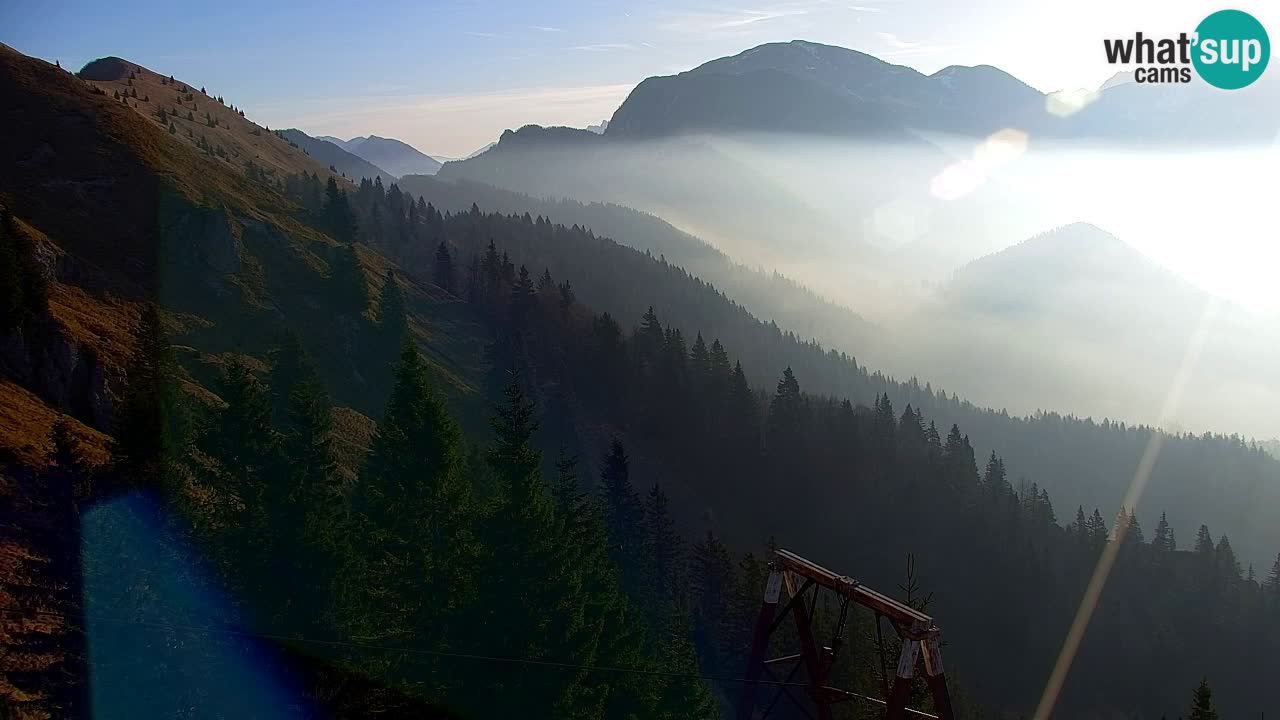 Koča na Golici Webcam (1582 m) – Slowenien