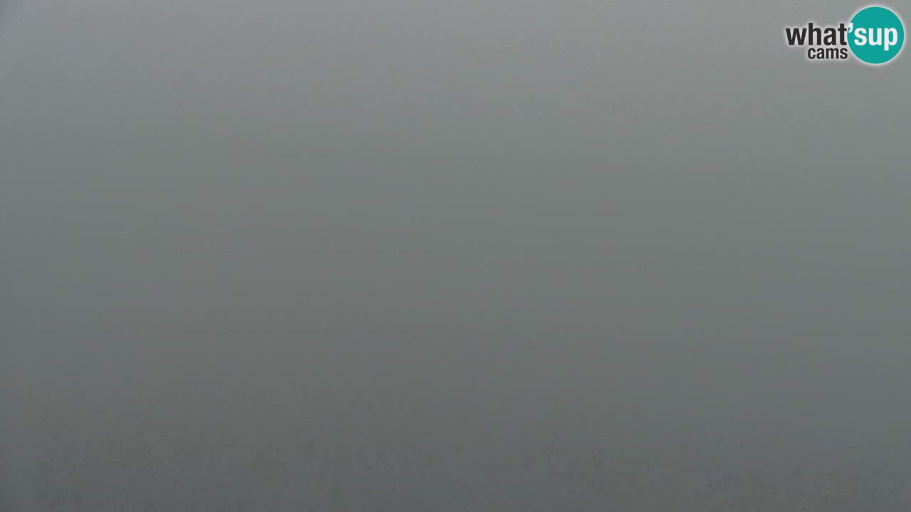 Webcam Koča na Golici (1582 m) – Slovenia