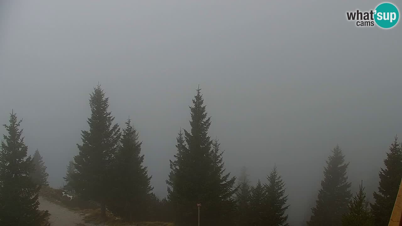Webcam Koča na Golici (1582 m) – Slovenia