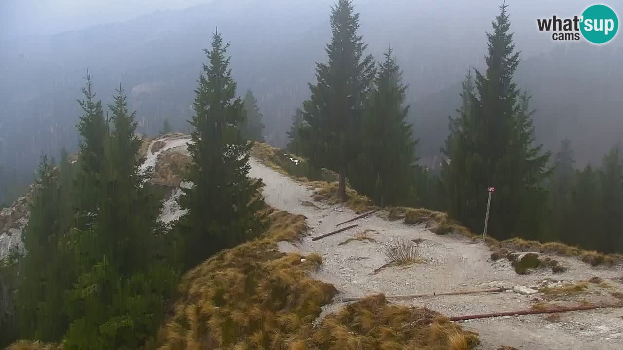 Webcam en Golica (1582 m) – Eslovenia
