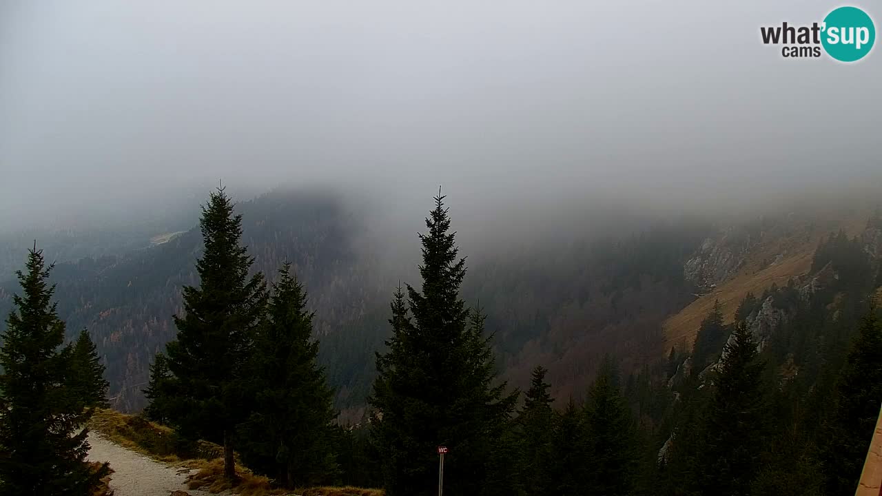 Web kamera Koča na Golici (1582 m) – Slovenija