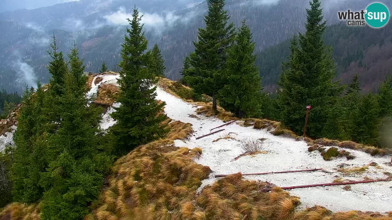 Webcam en Golica (1582 m) – Eslovenia