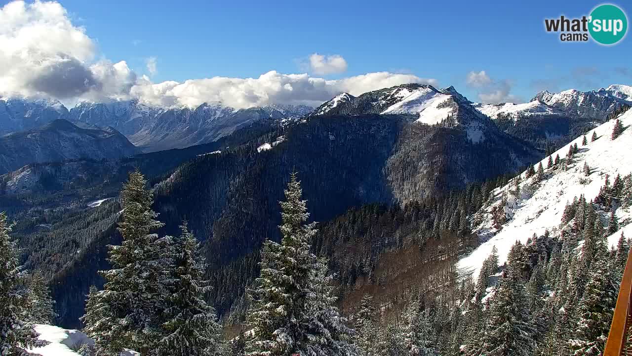 Webcam Chalet sur Golica (1582 m) – Slovénie