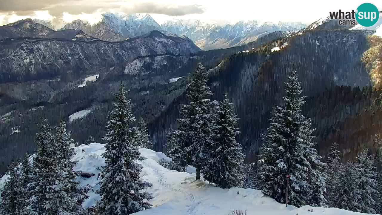 Webcam en Golica (1582 m) – Eslovenia
