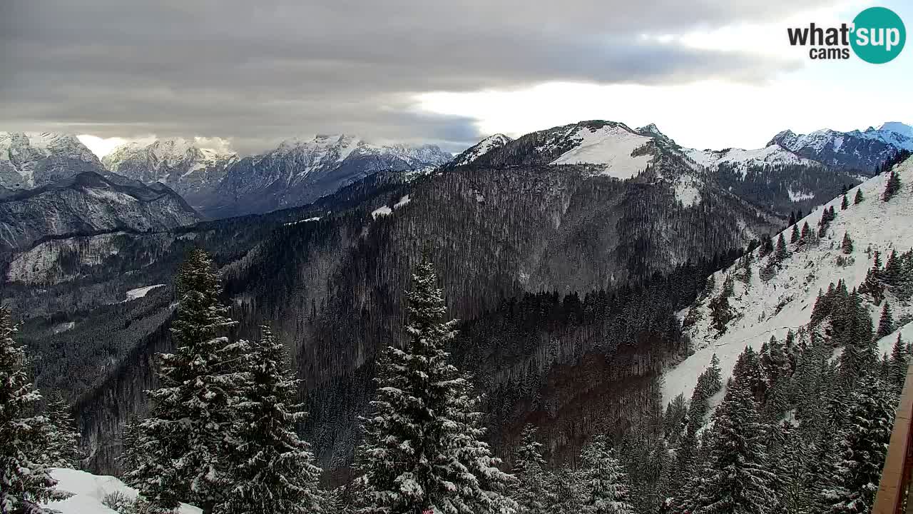 Webcam Koča na Golici (1582 m) – Slovenia