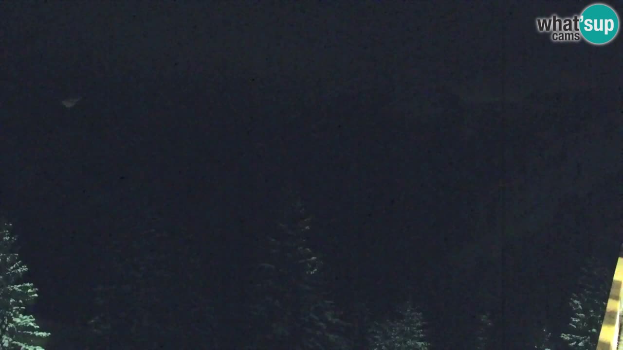 Webcam Koča na Golici (1582 m) – Slovenia