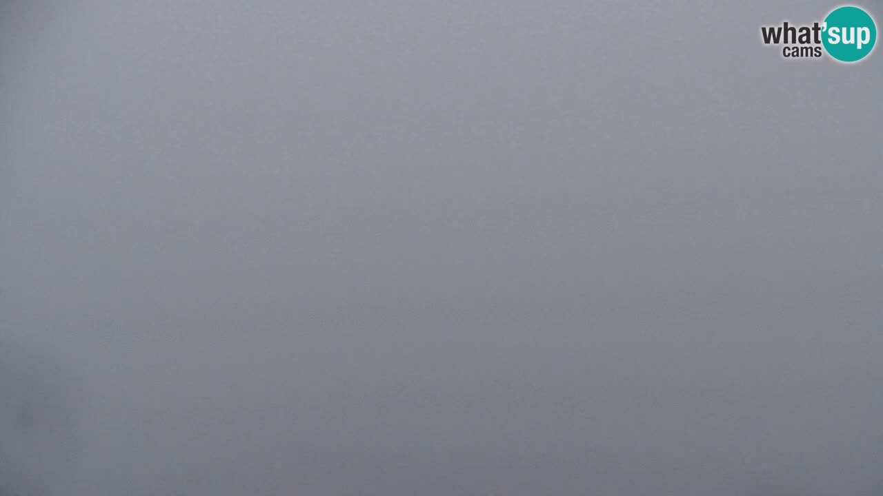 Webcam Koča na Golici (1582 m) – Slovenia