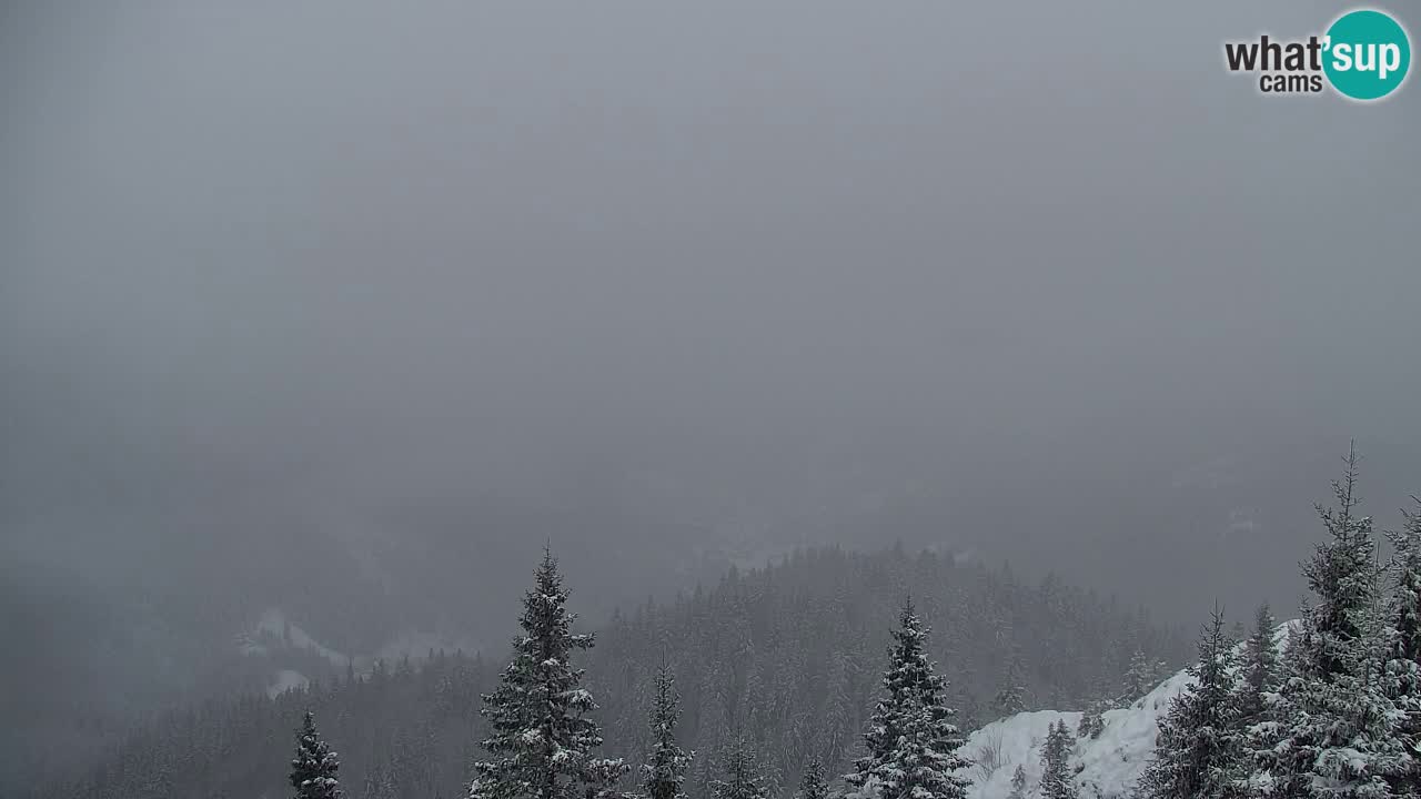Webcam en Golica (1582 m) – Eslovenia
