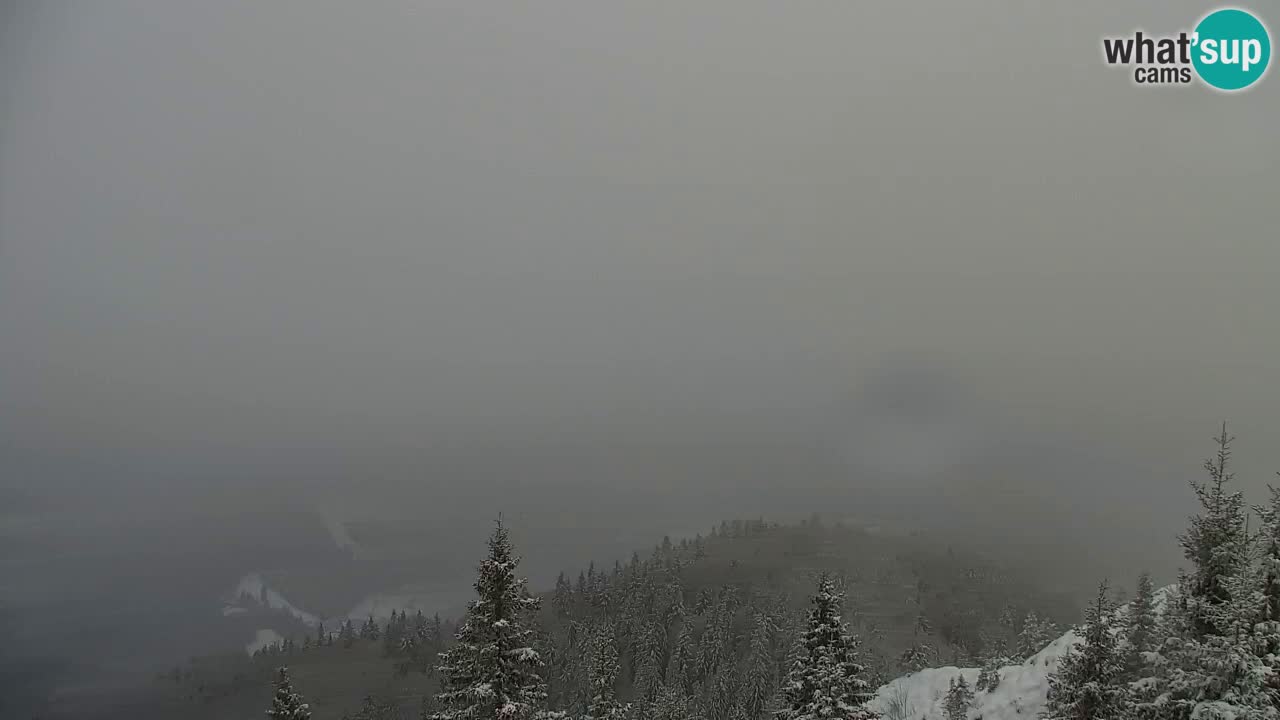 Web kamera Koča na Golici (1582 m) – Slovenija