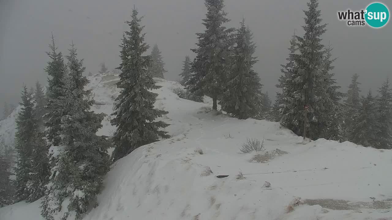 Webcam en Golica (1582 m) – Eslovenia