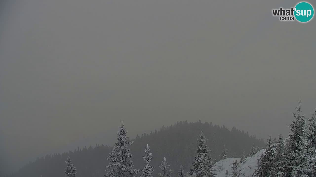 Koča na Golici Webcam (1582 m) – Slowenien