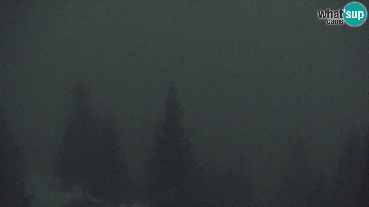 Webcam Koča na Golici (1582 m) – Slovenia