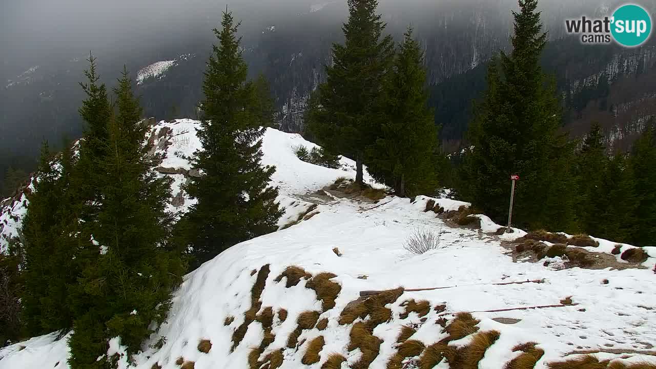 Webcam Chalet sur Golica (1582 m) – Slovénie