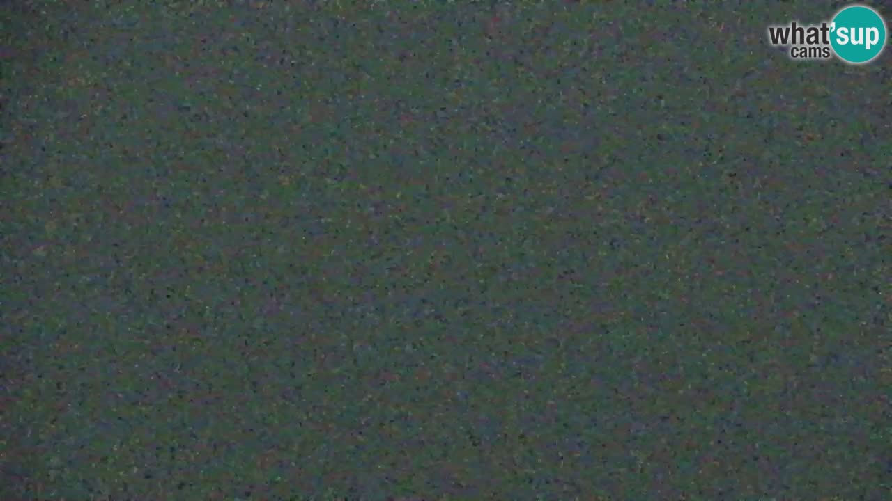 Webcam Koča na Golici (1582 m) – Slovenia