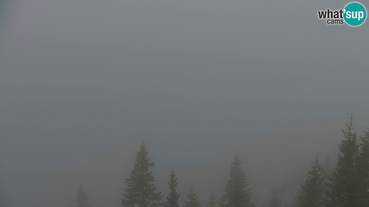 Webcam na Golici – Baita di montagna (1582 m) – Slovenia